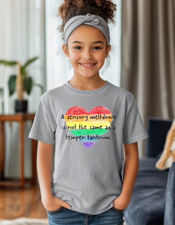 "Not A MeltDown"-Disability Awareness-Youth Tee