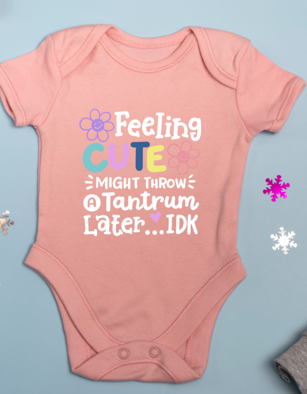 "Feeling Cute Might Throw A Tantrum Later" -Baby Onesie