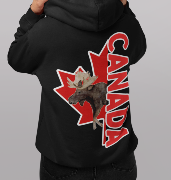 Custom Province Canada Minimalist/ Provincial Hooded SweatShirt/Custom Province Printed On Front Chest - Image 2