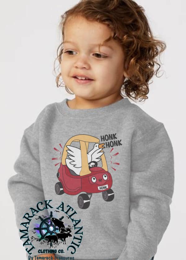 Silly Goose| Honk Honk| Toy Car|Matchable| Toddler Crewneck