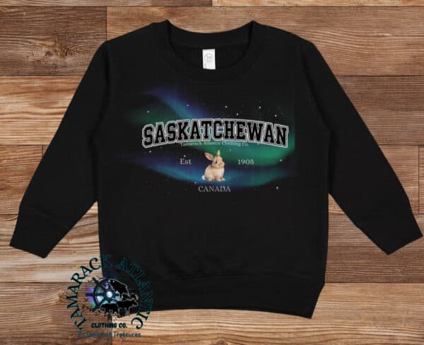 Custom Provincial|Borealis|Toddler Crewneck - Image 8