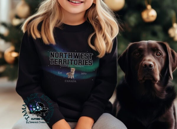Custom Provincial|Borealis|Toddler Crewneck - Image 9