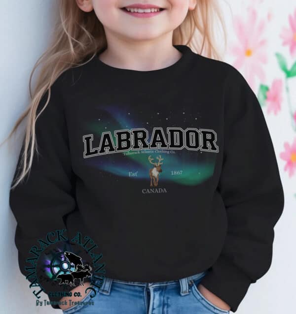 Custom Provincial|Borealis|Toddler Crewneck - Image 4