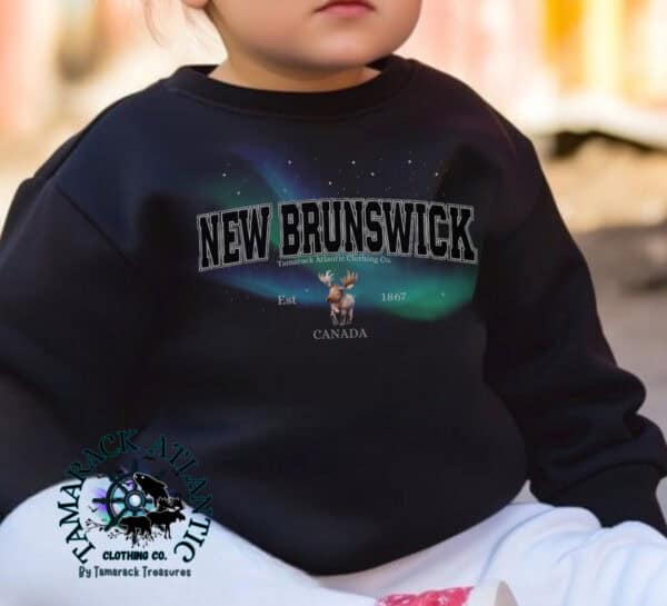 Custom Provincial|Borealis|Toddler Crewneck