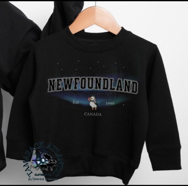 Custom Provincial|Borealis|Toddler Crewneck - Image 13