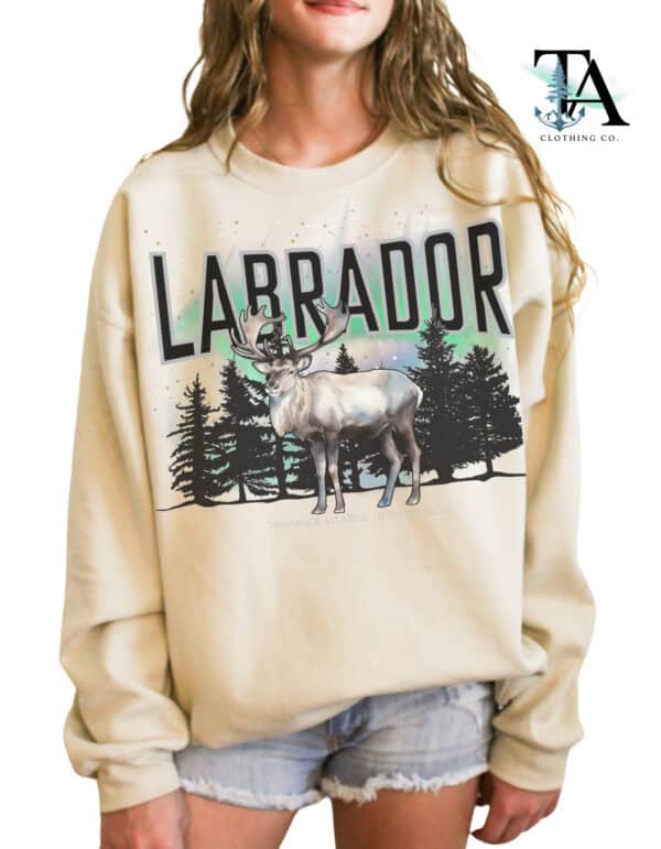 Labrador Lifestyle Wear Sweatshirts - Image 4