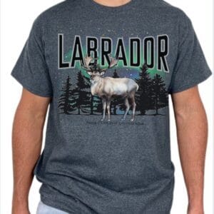 Labrador Lifestyle Wear| Gildan Tee| Dark Heather