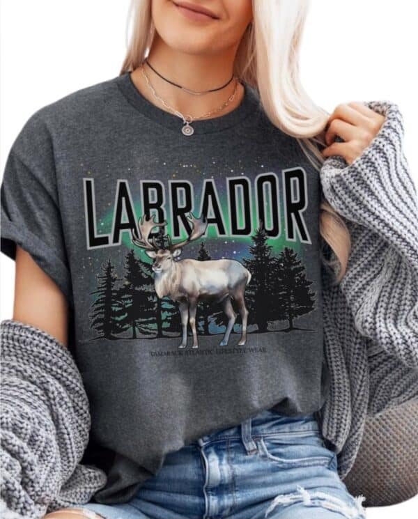 Labrador Lifestyle Wear| Gildan Tee| Dark Heather - Image 2