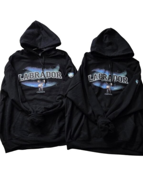 Labrador Varsity Borealis| Hooded Sweatshirt| Black - Image 4