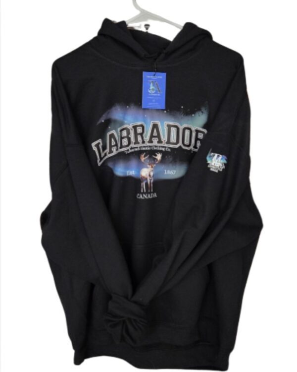Labrador Varsity Borealis| Hooded Sweatshirt| Black - Image 2